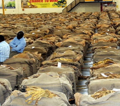 烟草制品 历史、健康影响与现代管制