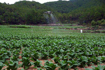烟草制品的危害 不容忽视的健康威胁